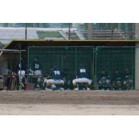 22/9/3 兵庫タイガース大会