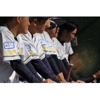 25.1.13 ヤングリーグ春季大会兵庫西支部予選　敗者復活戦